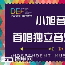 DEF2015Ї(ɶ)֊ʘС  ׳A