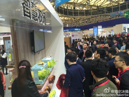 AWE2016Fʲôr һ犿@Щȫ˽