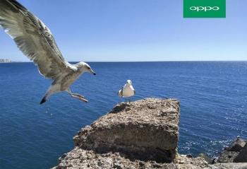 OPPO R9sN؛f ܷի@Ñģ