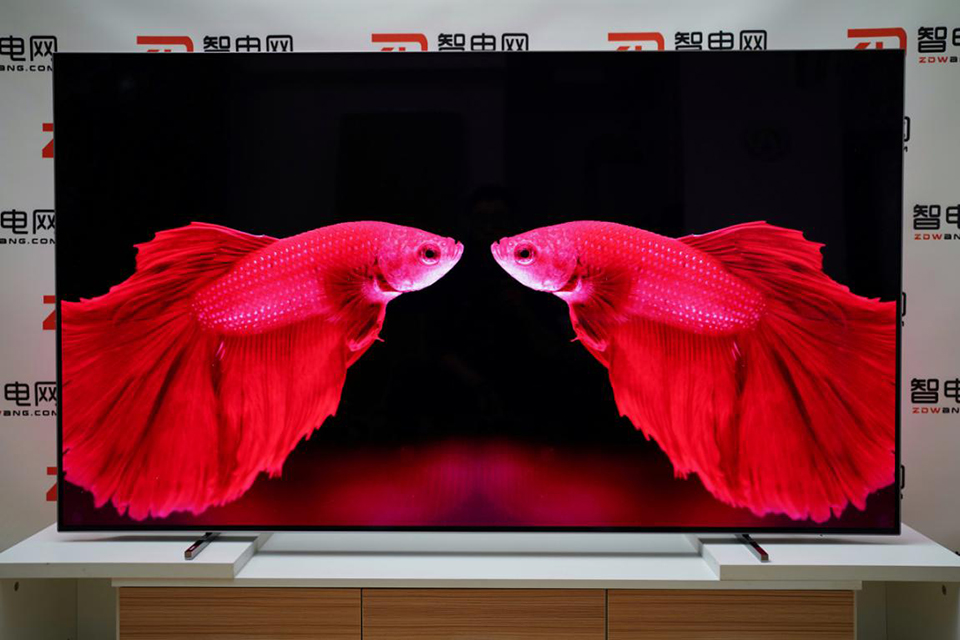 ɫQδ w65OLED804/T3uy
