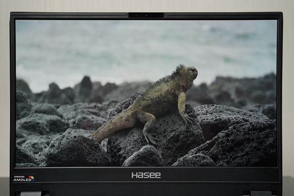 Ԍ ʮi7+RTX2070 Super+4K OLED ۑZ10Αuy