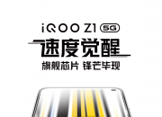 ^1000Plus+44W+4500mAh  iQOO Z1n519